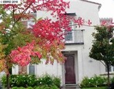 property listing